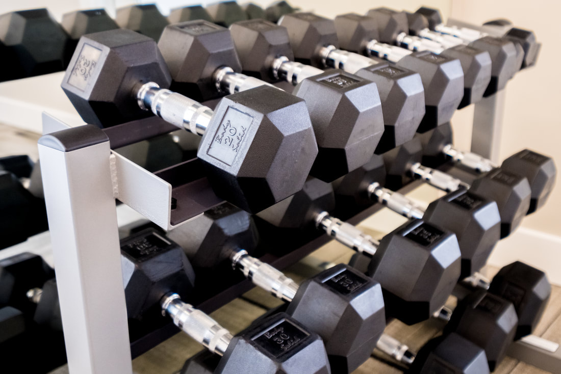 dumbbells pictured in apartment with gym in bradenton, fl