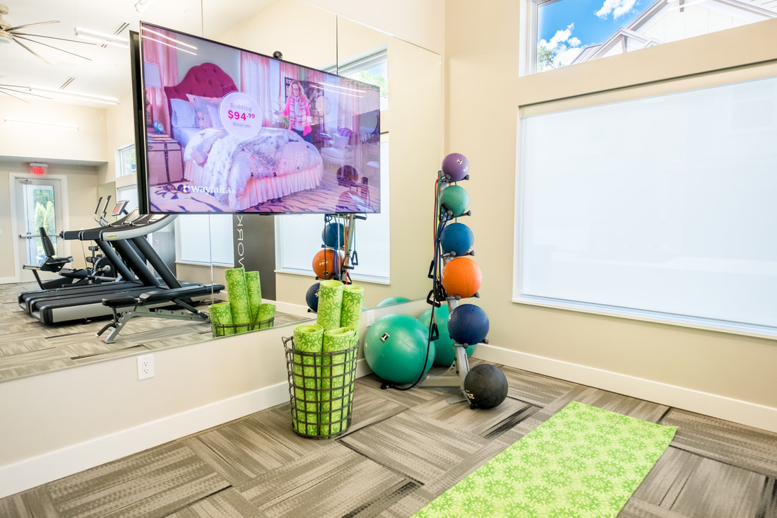 apartment gym includes weighted medicine balls, a tv, and yoga balls